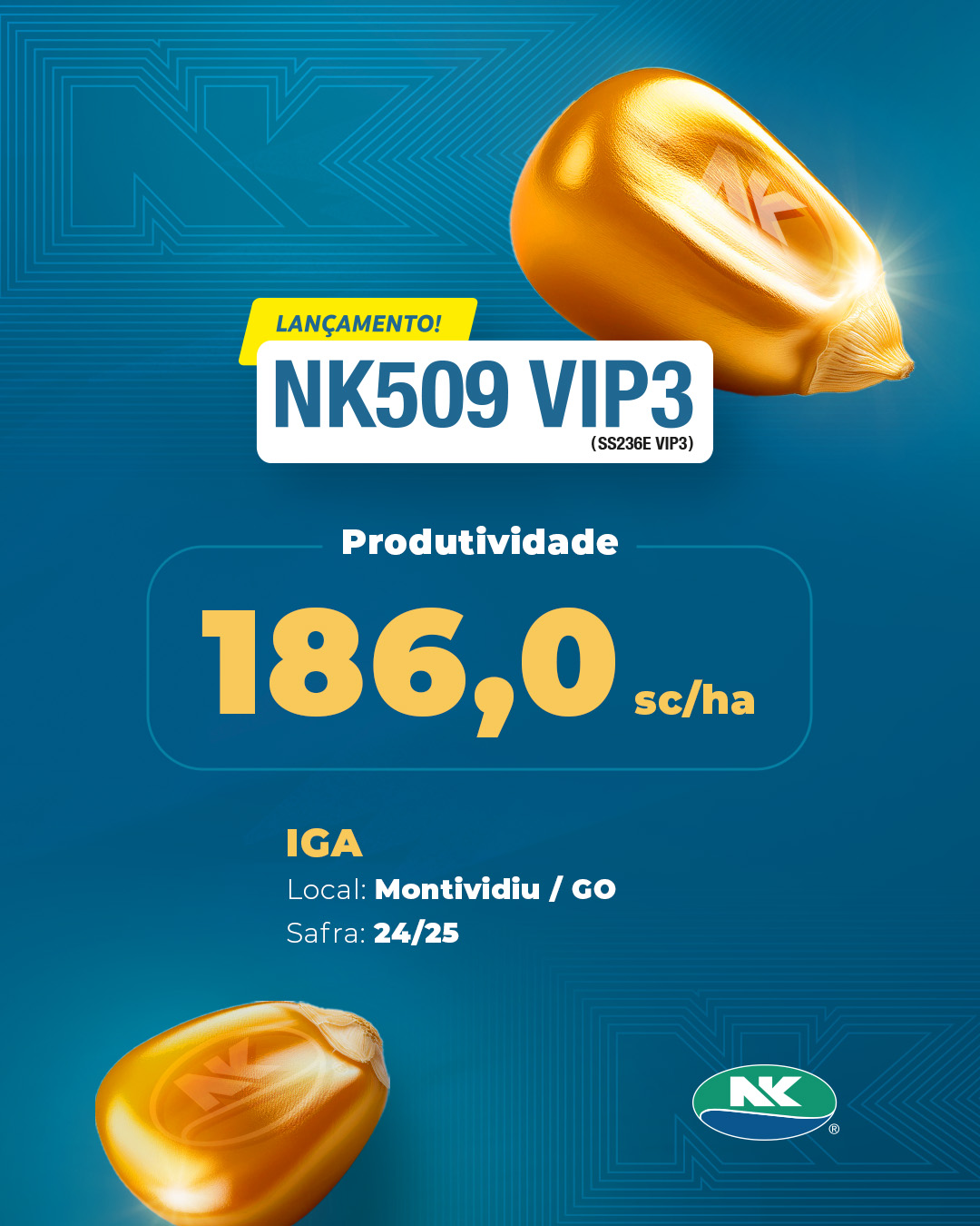 Resultado de produtividade