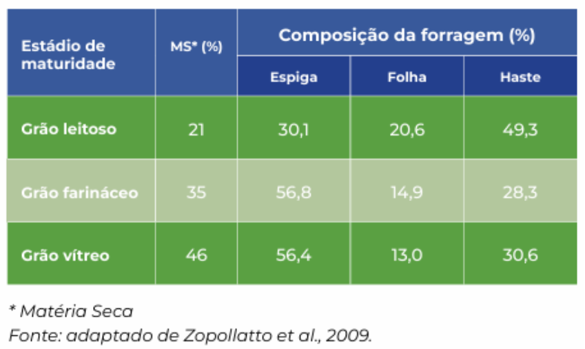 A tabela compara a composição da forragem em três estágios. No estágio "Grão leitoso", a matéria seca é de 21% e a composição é 30,1% de espiga, 20,6% de folha e 49,3% de haste. No "Grão farináceo", a matéria seca é de 35% e a composição é 56,8% de espiga, 14,9% de folha e 28,3% de haste. Por fim, no "Grão vítreo", a matéria seca é de 46% e a composição é 56,4% de espiga, 13,0% de folha e 30,6% de haste.
