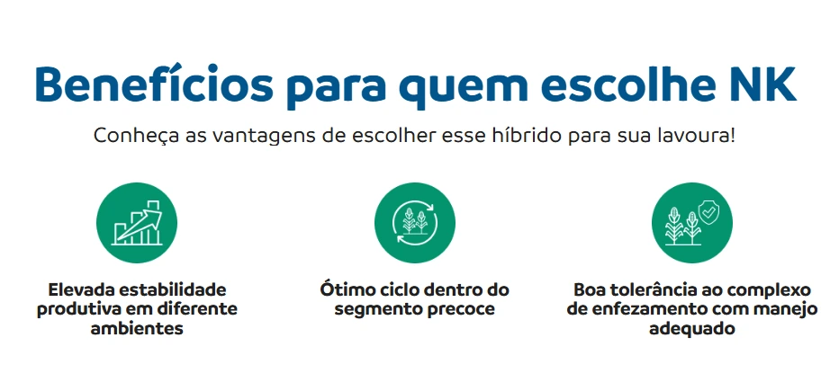 Benefícios do híbrido NK490VIP3. 