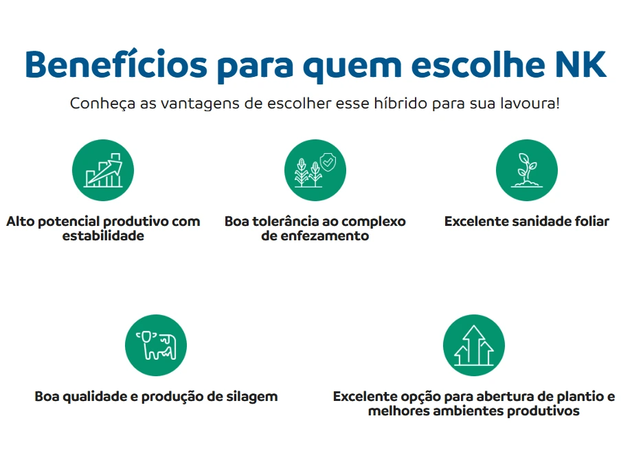Benefícios do híbrido NK501VIP3