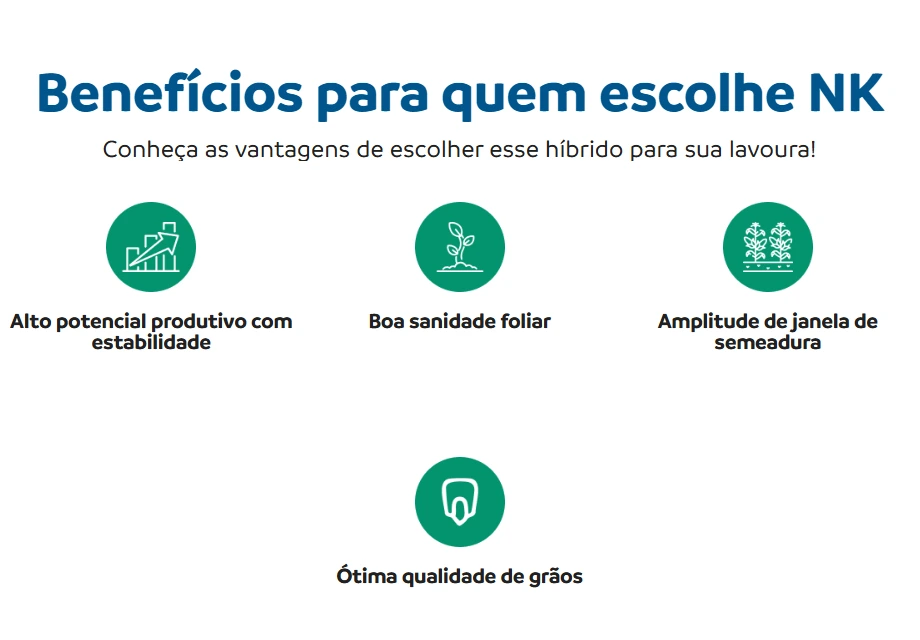 Benefícios do híbrido NK507VIP3.