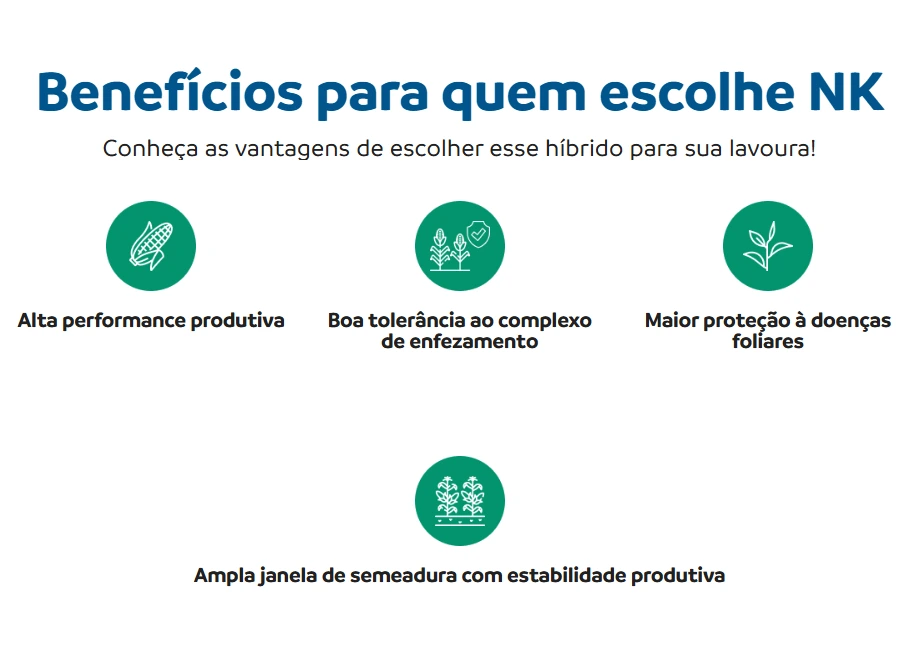Benefícios do híbrido NK509VIP3.