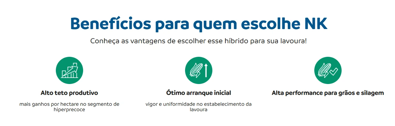 Benefícios do híbrido de milho NK301VIP3: alto teto produtivo, ótimo arranque inicial, alta performance para grãos e silagem.