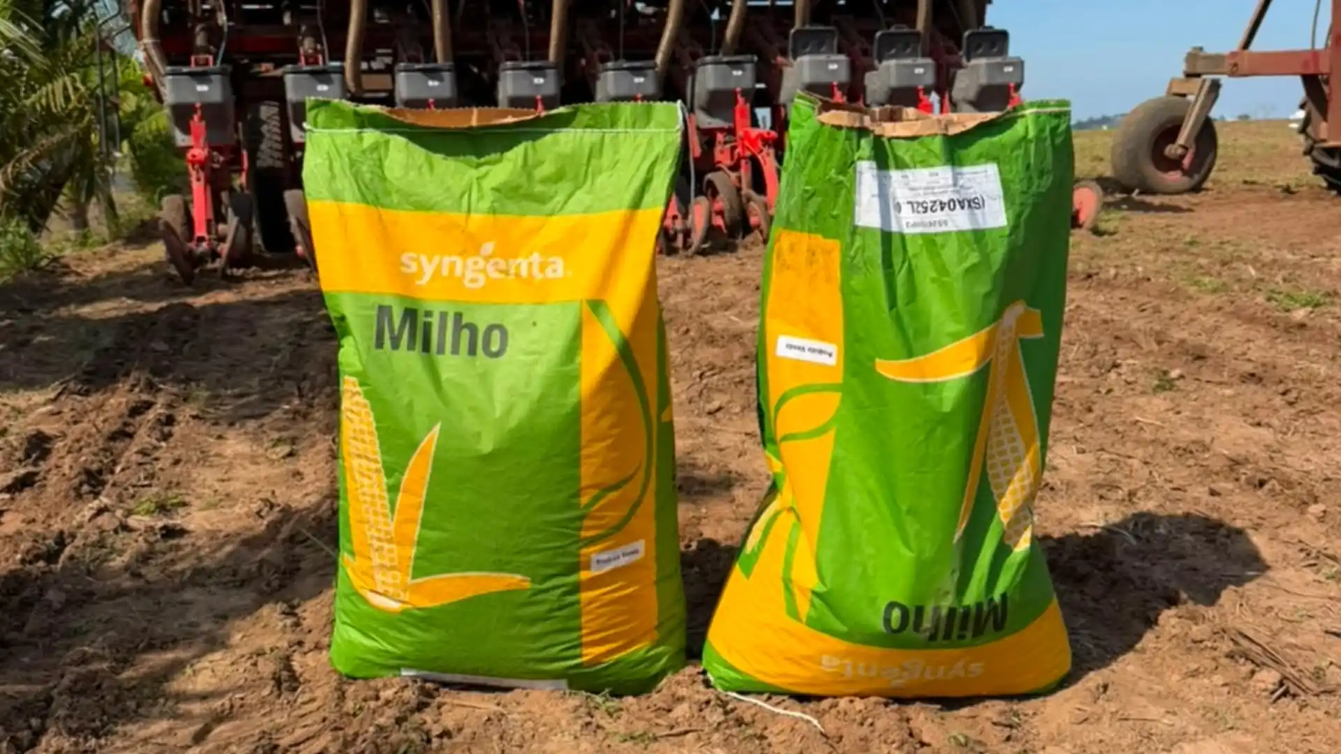 Sacos de sementes de milho da Syngenta ao lado de semeadora sendo preparada para o plantio.